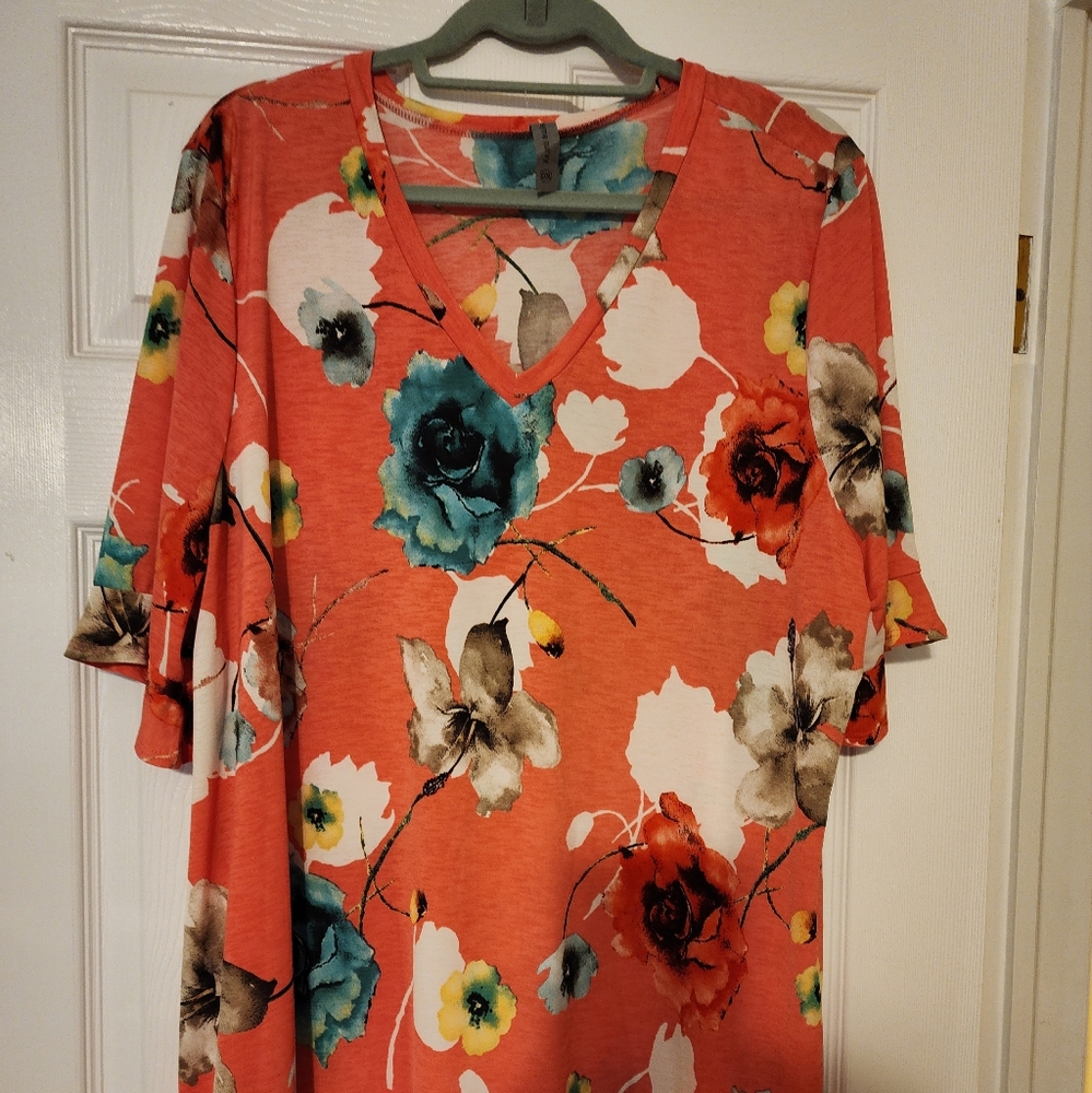 HoneyMe Coral V-Neck Blouse.